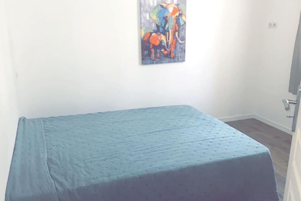 Appartement T2 Chez Thomas Et Nas Omessa ภายนอก รูปภาพ