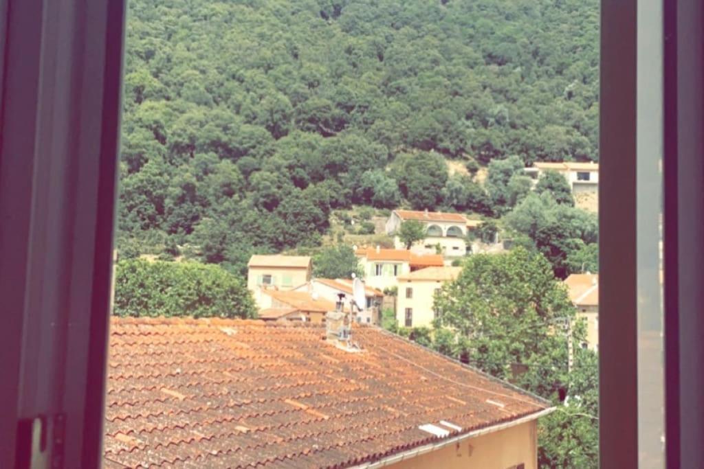 Appartement T2 Chez Thomas Et Nas Omessa ภายนอก รูปภาพ