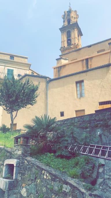 Appartement T2 Chez Thomas Et Nas Omessa ภายนอก รูปภาพ